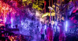 The Enchanted Garden: A Spectacle of Lights and Sound at Roma Street Parklands