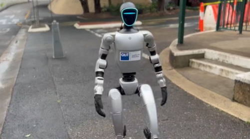 Humanoid robot 