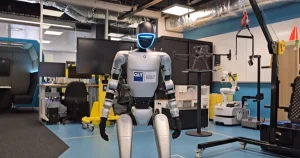 Humanoid robot