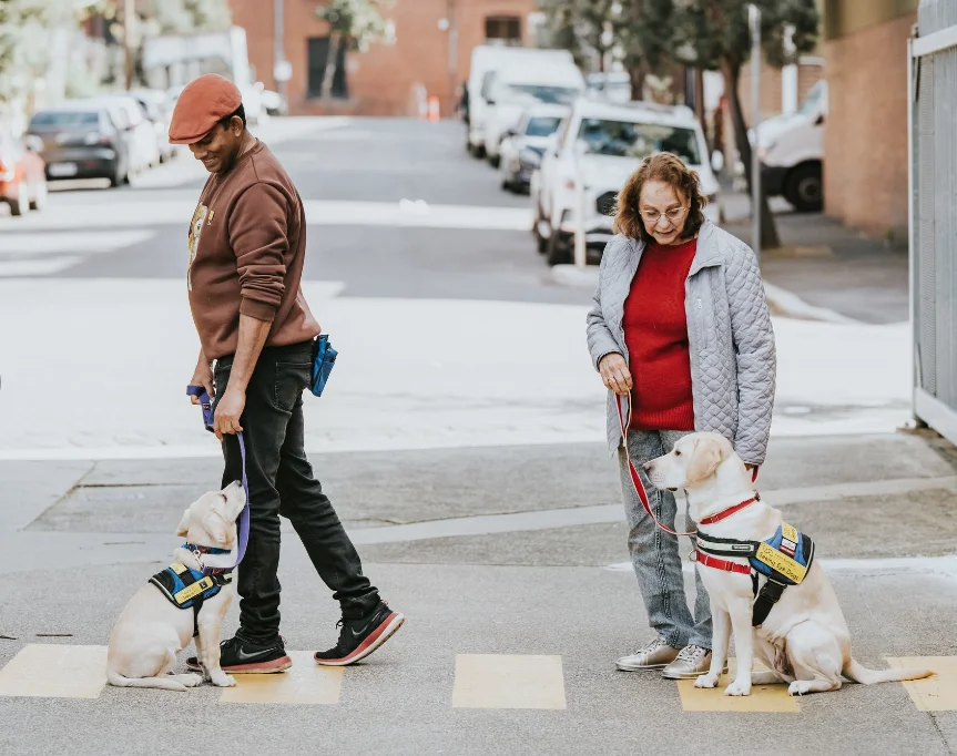 Seeing Eye Dogs